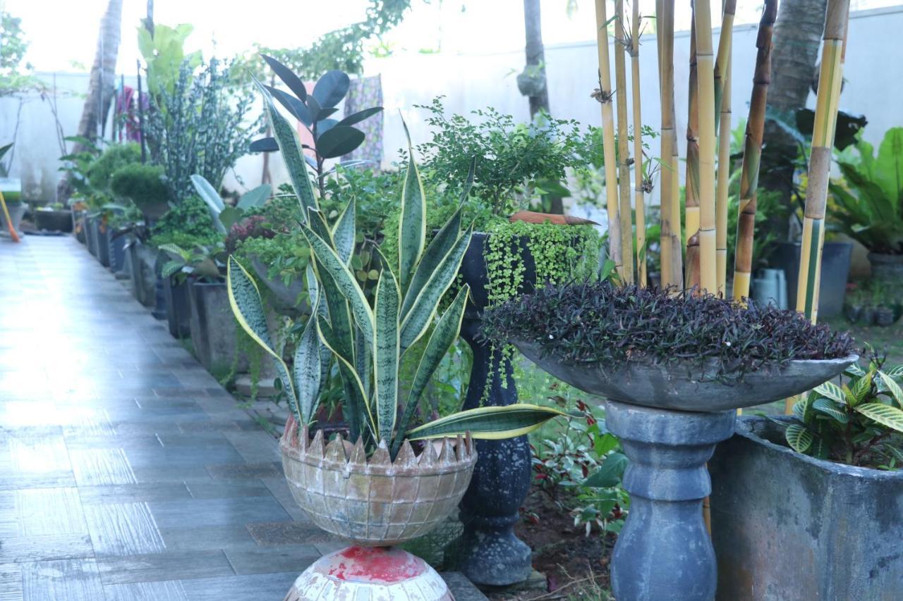 Southern Entry Dikwella Exterior foto